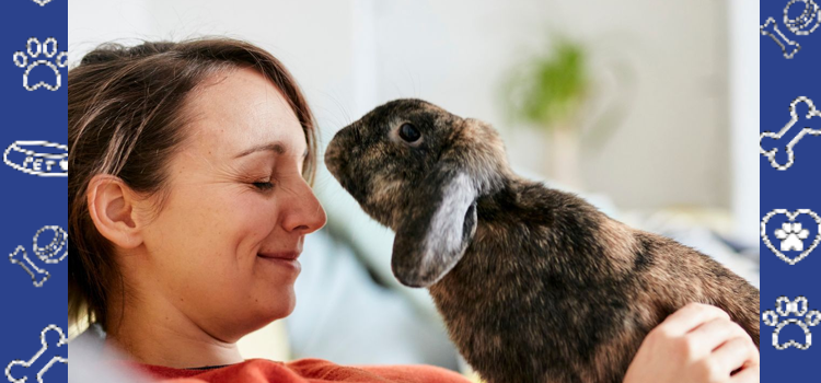What Are the Benefits of a Rabbit as an Emotional Support Animal?