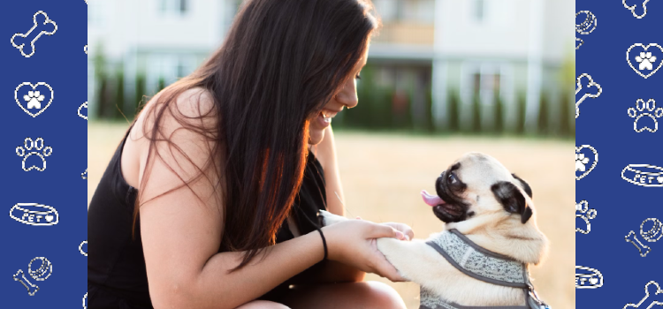 How Pets Can Help Cure Mental Health: Celebrating Mental Health Awareness with Petcerts.com