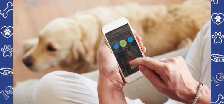 Tracking Your Pet’s Health with Wearable Technology: A Game-Changer for Pet Owners