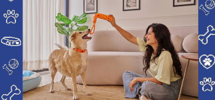 PSD Housing Letters & Tenant Rights in 2026 | PetCerts.com