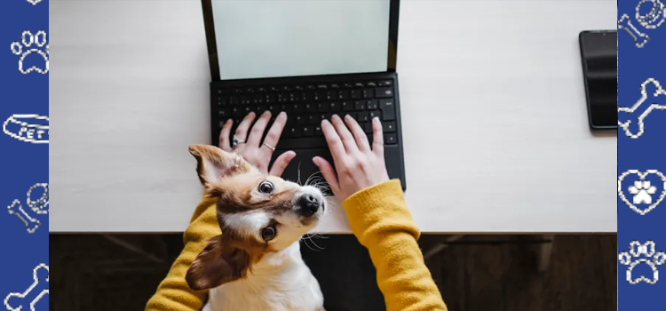 ESA Letters for Apartments With Breed or Weight Restrictions in 2026: What Renters Must Know