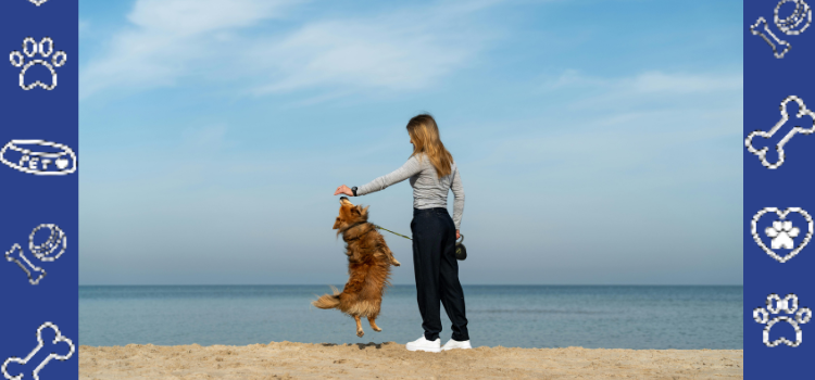 Can Exotic Pets Qualify with PetCerts.com ESA Letters? (Uncommon Pets)