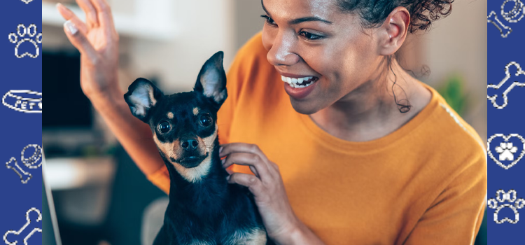 Emotional Support Animals at Wheaton College (IL): A Complete 2025 Guide for Students