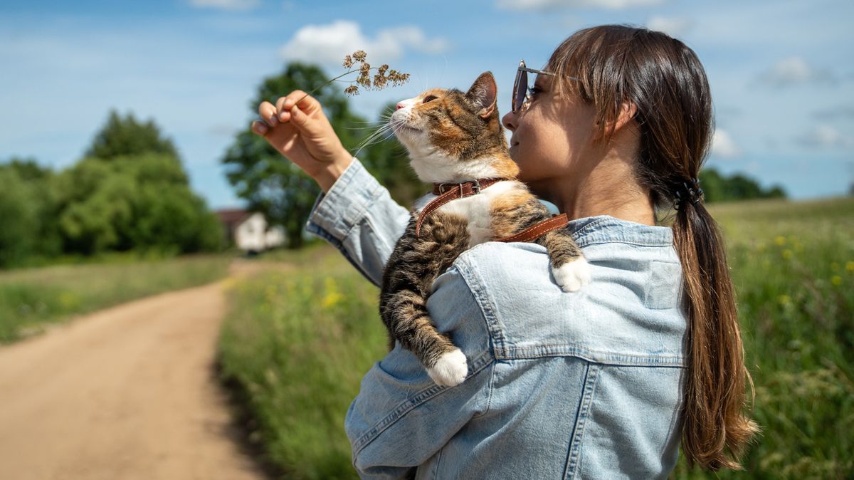 A person petting a dog, representing emotional support, with a landlord agreement in the background.