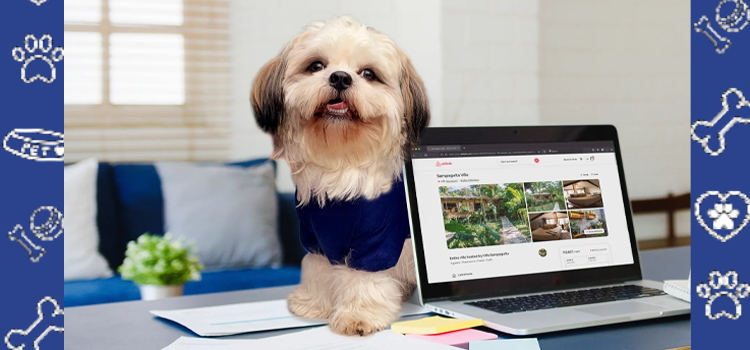 Airbnb vs. Hotels: Which Is Better for Guests with Emotional Support Animals?