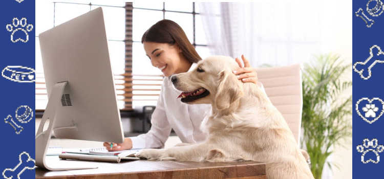 Step-by-Step: How to Register Your Emotional Support Animal With PetCerts