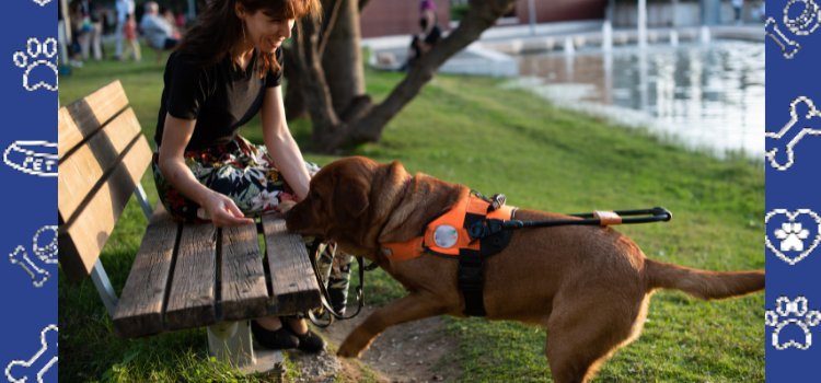 Traveling with a Psychiatric Service Dog in North Carolina: Your Rights Explained
