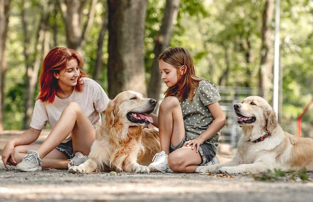 Understanding Your Emotional Support Animal Letter: A Comprehensive Guide