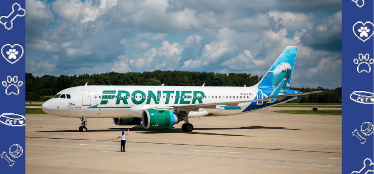 Flying with Your Psychiatric Service Dog on Frontier Airlines: How to Get Your PSD Transportation Letter