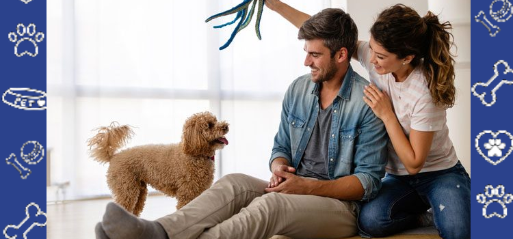 The Role of Animals in Human Life: When and Why to Register Your New Pet as an ESA