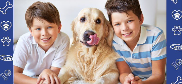 Why the Emotional Support Animal is Great for Kids: A PetCerts.com Guide