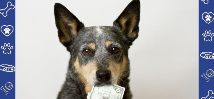 How to Save Money in the Last Quarter of 2024: Get Your ESA Housing Letter at PetCerts.com and Say Goodbye to Pet Fees!