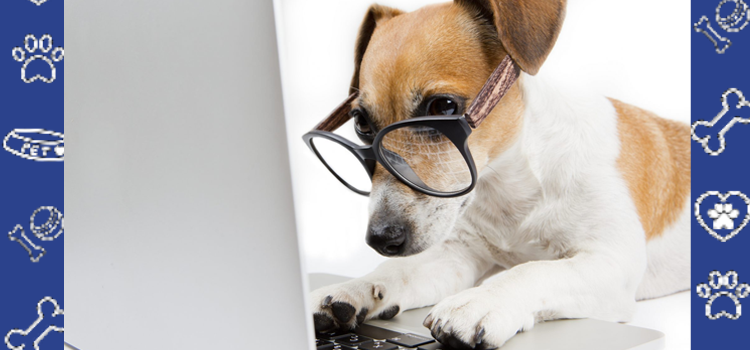 How to Spot Fake ESA Letters Online: Red Flags Every Pet Owner Should Know in 2025