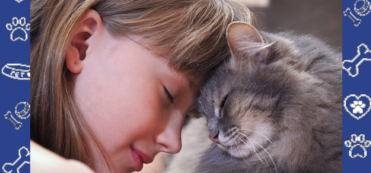 Why Cats Make Amazing Emotional Support Companions for Introverts