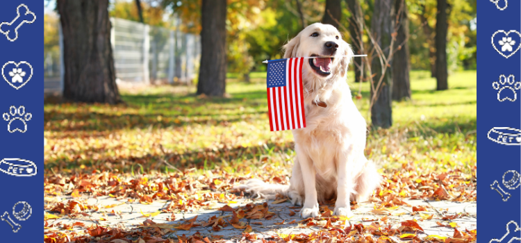 Celebrate Independence Day with a Special Offer at PetCerts.com!