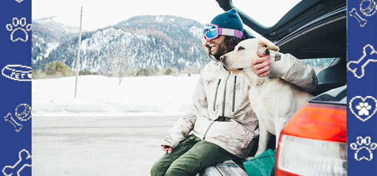 How to Prepare Your Emotional Support Animal for Holiday Travel | PetCerts