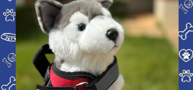 Delaware State University (DSU) and Emotional Support Animals: A Complete Guide for Students (2025 Update)