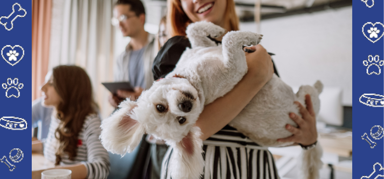 Can Your Landlord Charge Pet Fees for ESAs or PSDs? Here's What You Need to Know