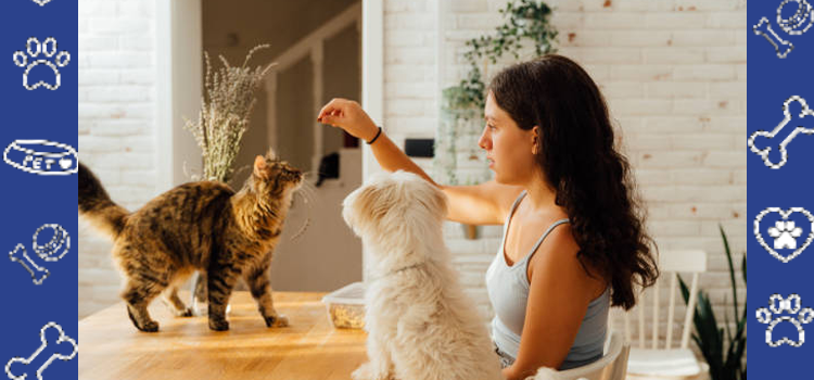 Cheap ESA Letter Online: Spring Anxiety and Depression – How Emotional Support Animals Provide Comfort
