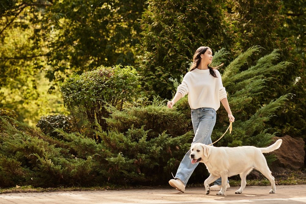 A person gently petting a golden retriever, symbolizing the comfort and peace of mind an Emotional Support Animal provides, secured with a legitimate ESA letter.