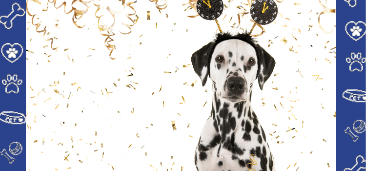 How to Calm Your Pets During New Year Fireworks