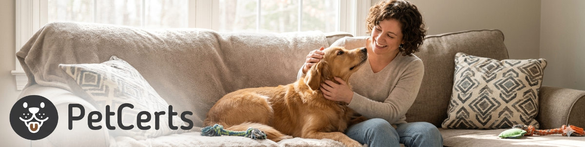A person happily petting a dog on a couch, illustrating companionship and comfort in a pet-friendly home.