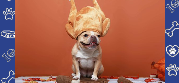 Grateful Hearts & Healing Paws: How Emotional Support Animals Help Us Practice Gratitude