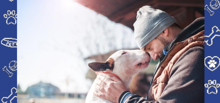Dorm Room ESA Rules in 2026: What College Students Need to Know Before Bringing a Pet to Campus