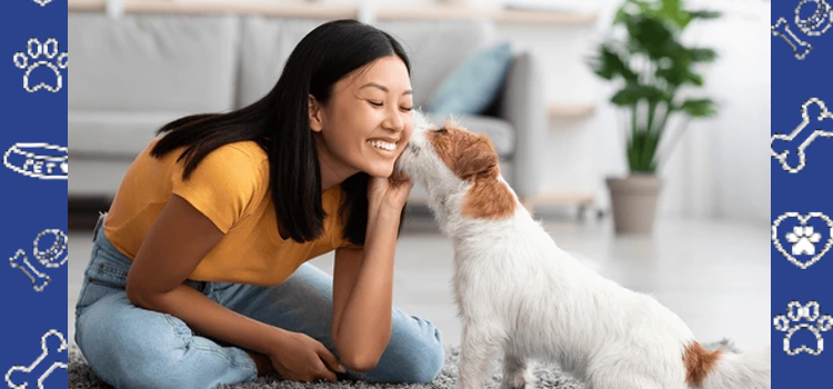 A Student’s Guide to Emotional Support Animals at the University of Connecticut (UConn)
