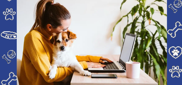 Emotional Support Animals in the Workplace: Can It Work?