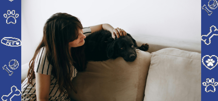 Where to Find Affordable ESA Housing Letters That Landlords Must Accept