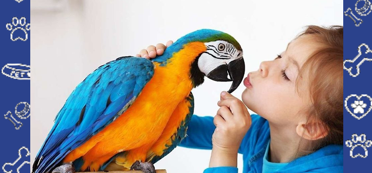 Feathered Friends: How Birds Can Lift Your Mood and Ease Anxiety