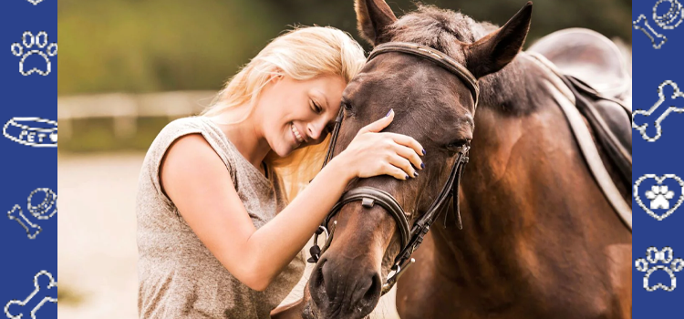Healing Hooves: The Emotional Strength of Horses as Support Animals