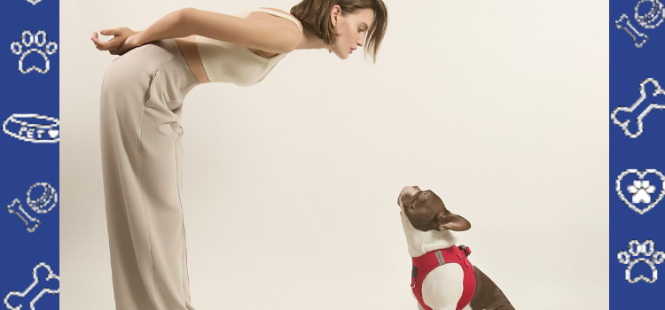 Cheap ESA Letter South Carolina: Avoid Pet Fees & 2026 HUD Rules