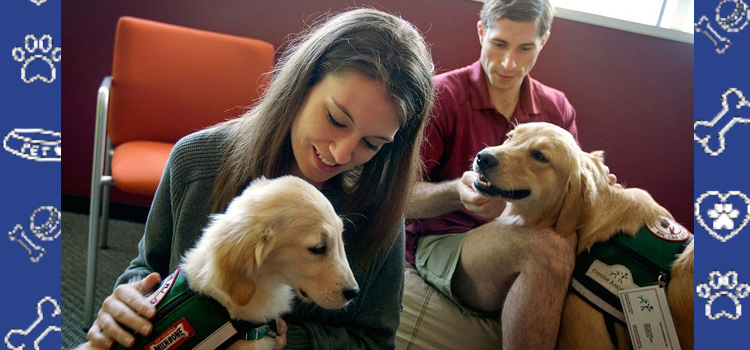 Emotional Support Animals at Georgia State University: A Student Guide