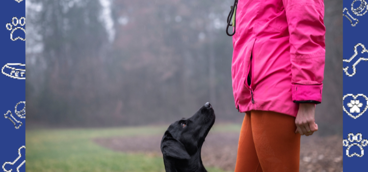 PSD Housing Requirements in Michigan