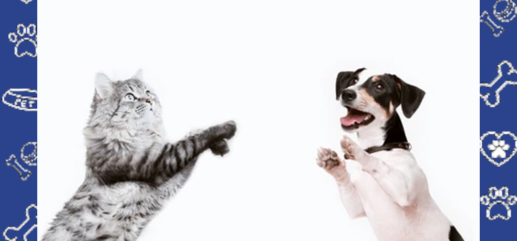 Can Colleges Charge Pet Fees for ESAs? University Laws 2026