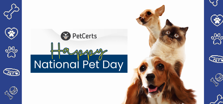 Celebrating National Pet Day: The Importance of Emotional Support Animals and PetCert's Role
