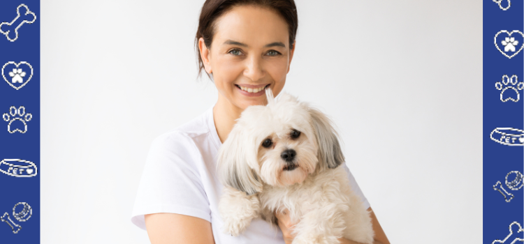 The Role of Shih Tzus in Managing PTSD Symptoms: A Heartwarming Bond