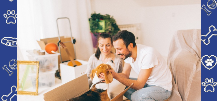 Can Landlords Charge Pet Rent for ESAs in 2026? Legal Truth