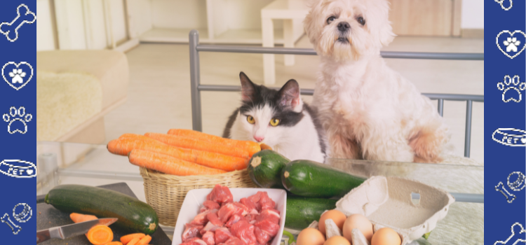 “Don’t Eat That!” Common Holiday Foods That Are Dangerous for Pets