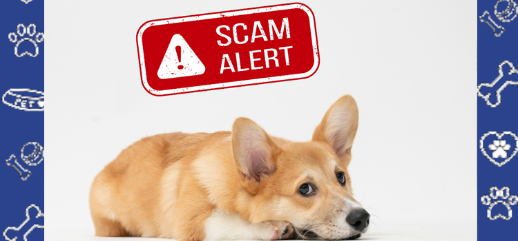 The Rise of Online ESA & PSD Scams in 2025: How to Protect Yourself and Choose a Legitimate Provider