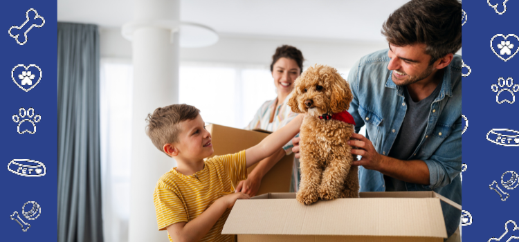 Emotional Support Animal Journey: A Guide to Moving into Your New Apartment