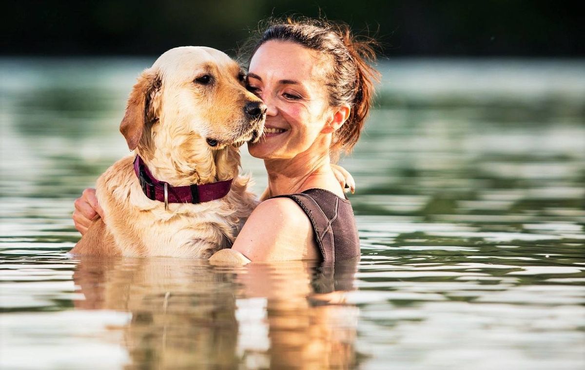 A person gently petting a dog, symbolizing the support an ESA provides and the privacy surrounding their documentation.