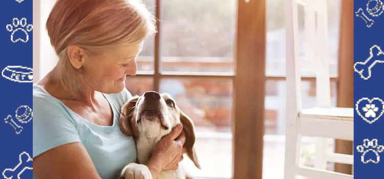 The Frustration of βNo Petsβ Apartments β And What You Can Do About It