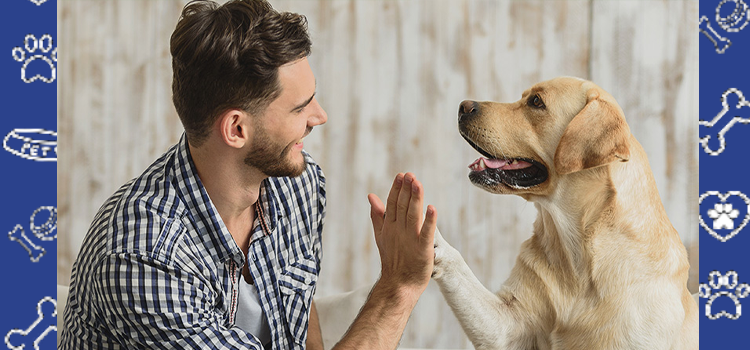 Emotional Support Animal Laws in 2026: What Pet Owners Need to Know