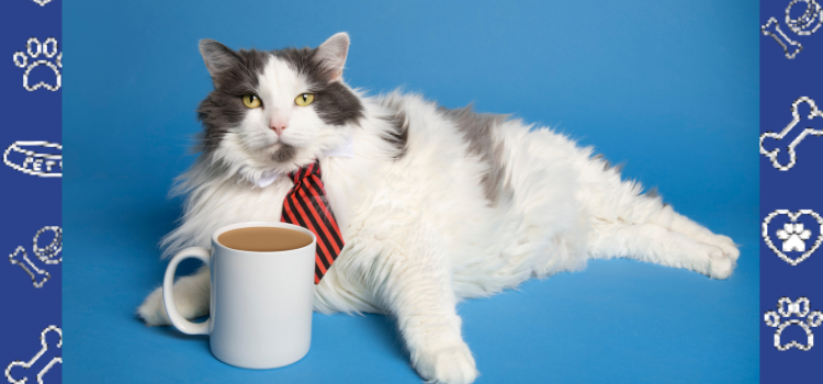 Pet Ownership Laws Every South Dakota Resident Should Know