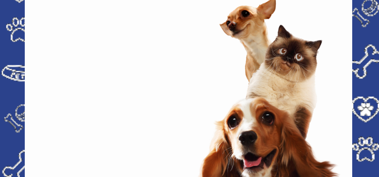 Flying With a Psychiatric Service Dog in 2026: The Ultimate Guide to DOT Rules & PSD Letters