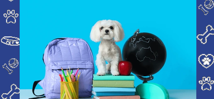How ESAs Support Students During Back-to-School 2025
