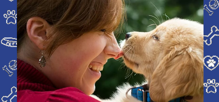 Cheap Emotional Support Animal Letters Online (2026 Guide)